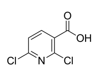 2,6-二氯吡啶-3-羧酸，98%